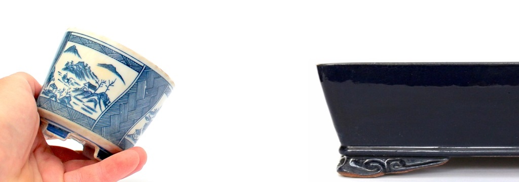 rendelheto mazas bonsai talak a marczika bonsai studio webaruhaz kinalatabol